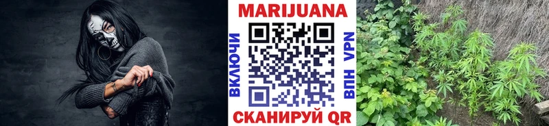 Купить закладку АМФ  Марихуана  Меф  Гашиш  Змеиногорск
